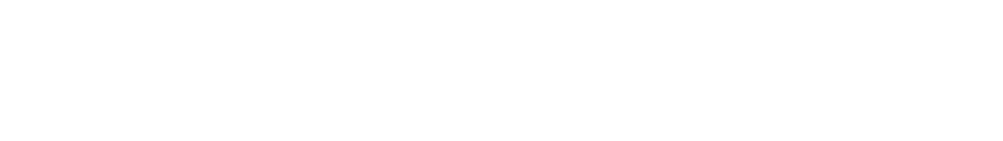 LOGO SONIX blanco